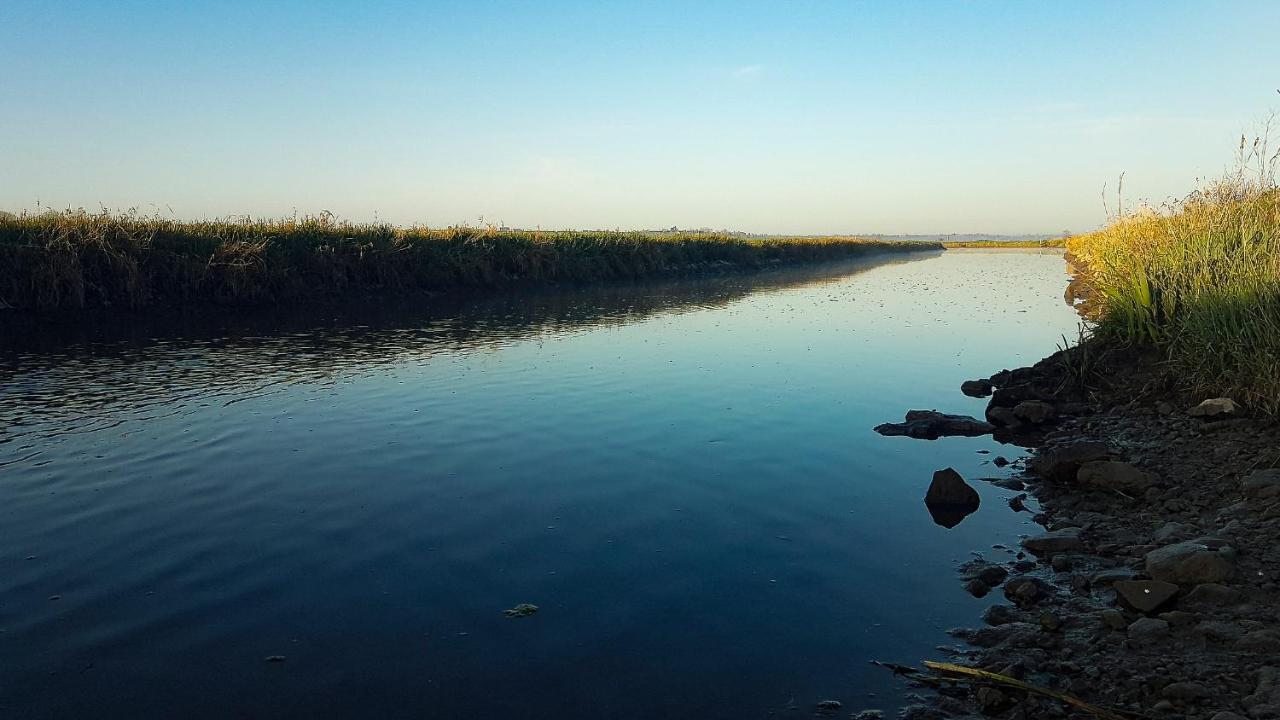Le Domaine Des Roseraies Monfréville エクステリア 写真